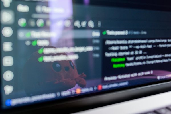 Descubre los ingredientes imprescindibles que debes conocer