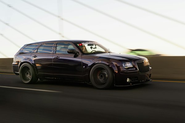 Vacunación de mascotas: clave para un crecimiento sostenible y saludable